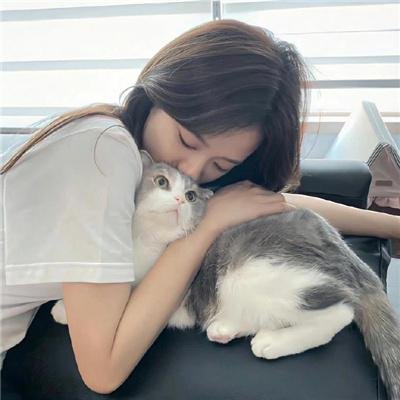 猫咪不跳舞