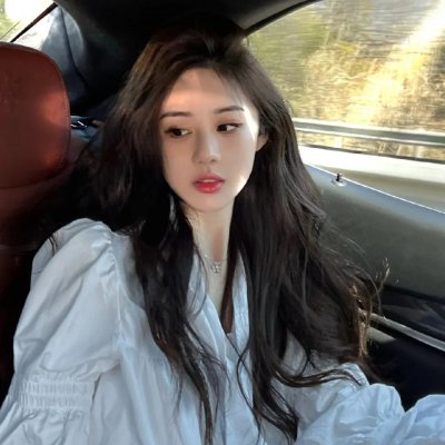 征服北极的人